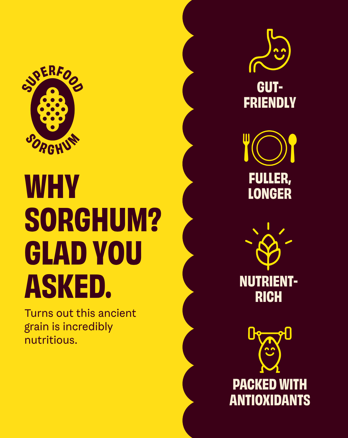Sorghum Sampler